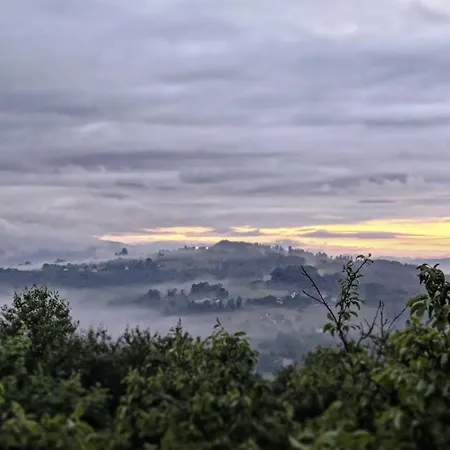 Pod Lasem I Niebem *