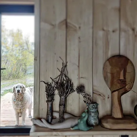 Pod Lasem I Niebem *