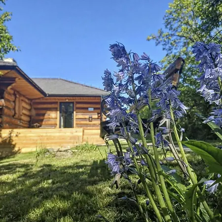 Apartmán Pod Lasem I Niebem *