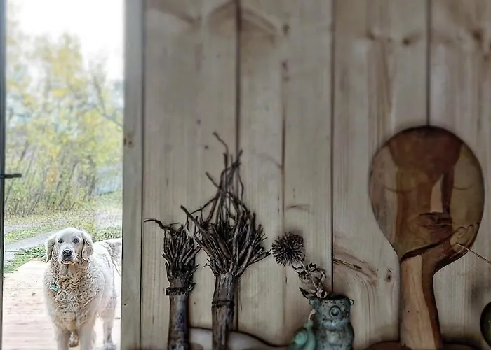 Pod Lasem I Niebem *