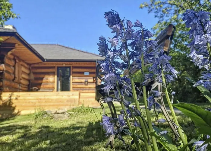 Appartamento Pod Lasem I Niebem *